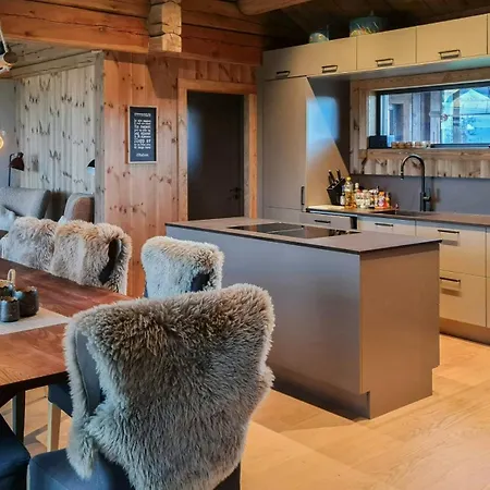 Modern Family Near Kikut In Geilo Flataker