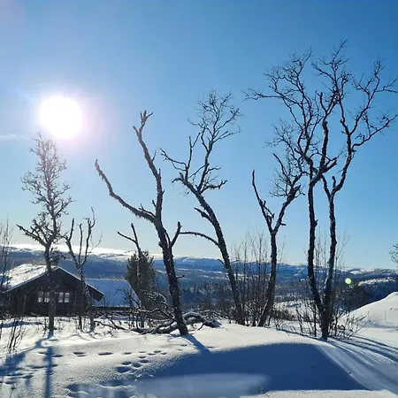 Modern Family Near Kikut In Geilo Flataker