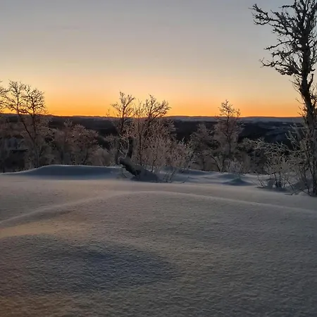 Feriehus Modern Family Near Kikut In Geilo