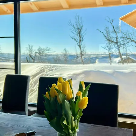 Modern Family Near Kikut In Geilo *