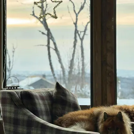 Casa de Férias Modern Family Near Kikut In Geilo