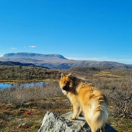 Modern Family Near Kikut In Geilo