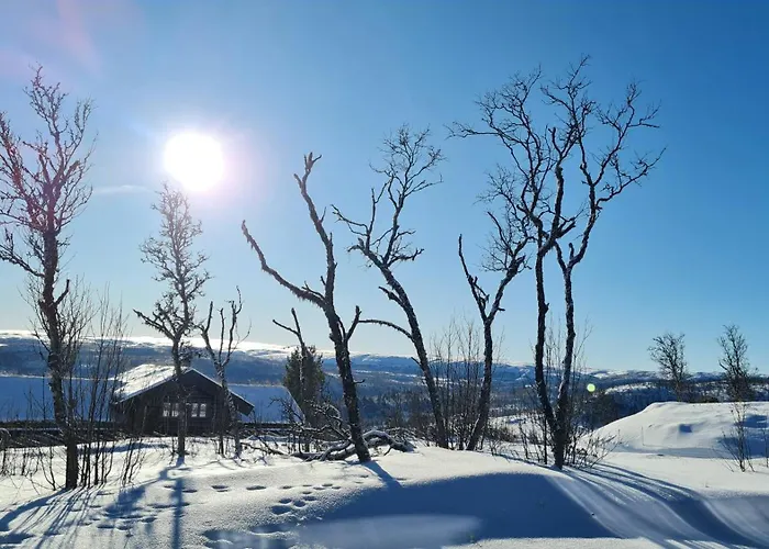Сasa de vacaciones Modern Family Near Kikut In Geilo Geilo